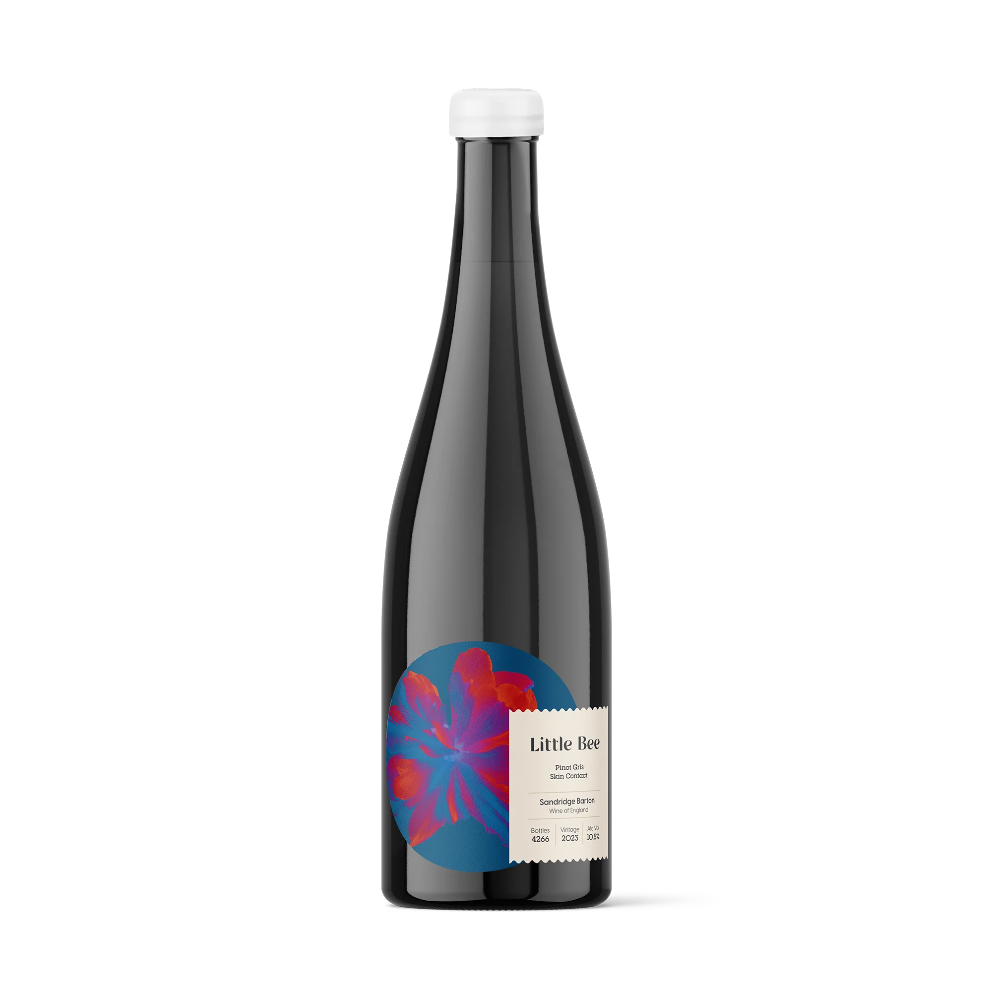 Sandridge Barton Don’t Feed the Ponies Little Bee 2023 Devon