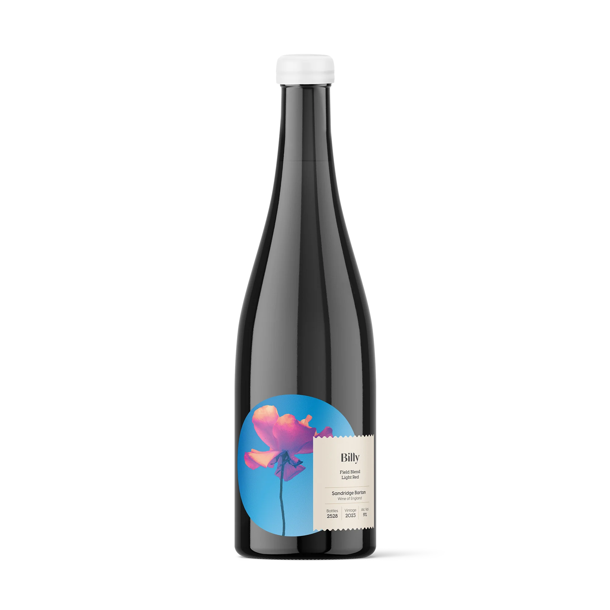 Sandridge Barton Don’t Feed the Ponies Billy 2023 Devon