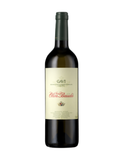Gavi 2024 Piedmont