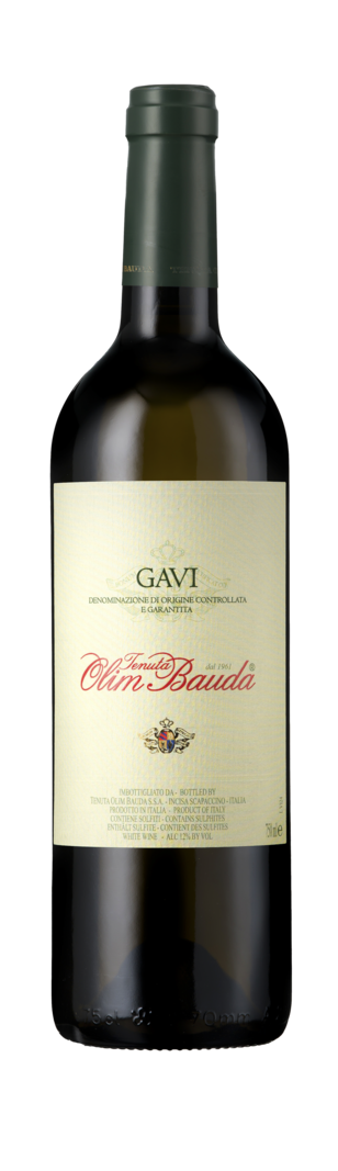 Gavi 2024 Piedmont