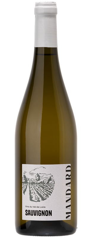 Domaine Jean Christophe Mandard Sauvignon de Touraine 2024 Touraine