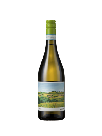 Zaccagnini Verdicchio di Castelli di Jesi Classico Superiore, Segnavento 2023 Marche