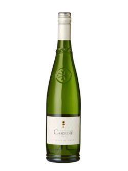 Famille Morin Picpoul de Pinet 2024 Picpoul de Pinet