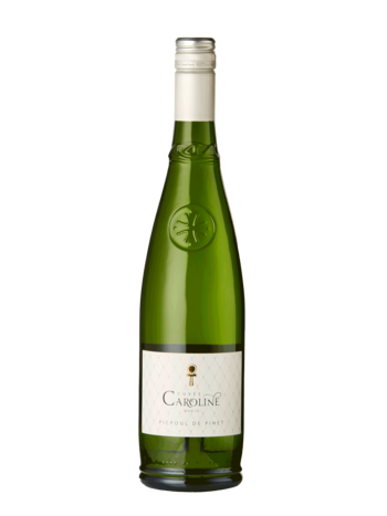 Famille Morin Picpoul de Pinet 2024 Picpoul de Pinet