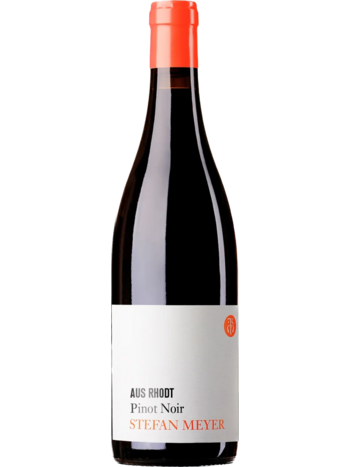 Stefan Meyer Pinot Noir 'Aus Rhodt' Trocken 2024 Pfalz