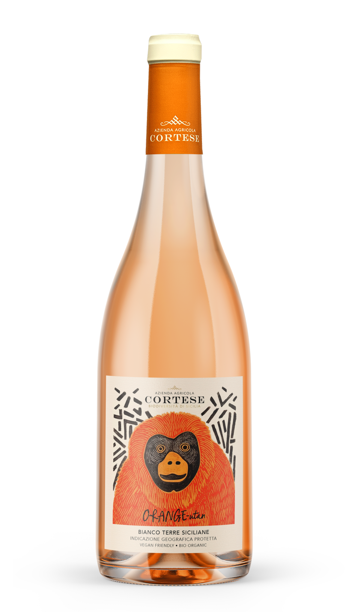 Cortese Orange-utan Bianco 2024 Sicily