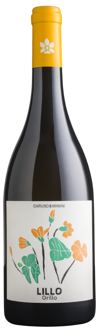 Caruso & Minini Lillo, Grillo 2025 Sicily