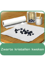 Ravensburger Rav Kristallen Kweken