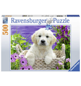 Ravensburger Ravensburger 148295 Schattige Golden Retriever - 500