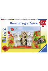 Ravensburger Katjes Op Ontdekkingsreis 2X12