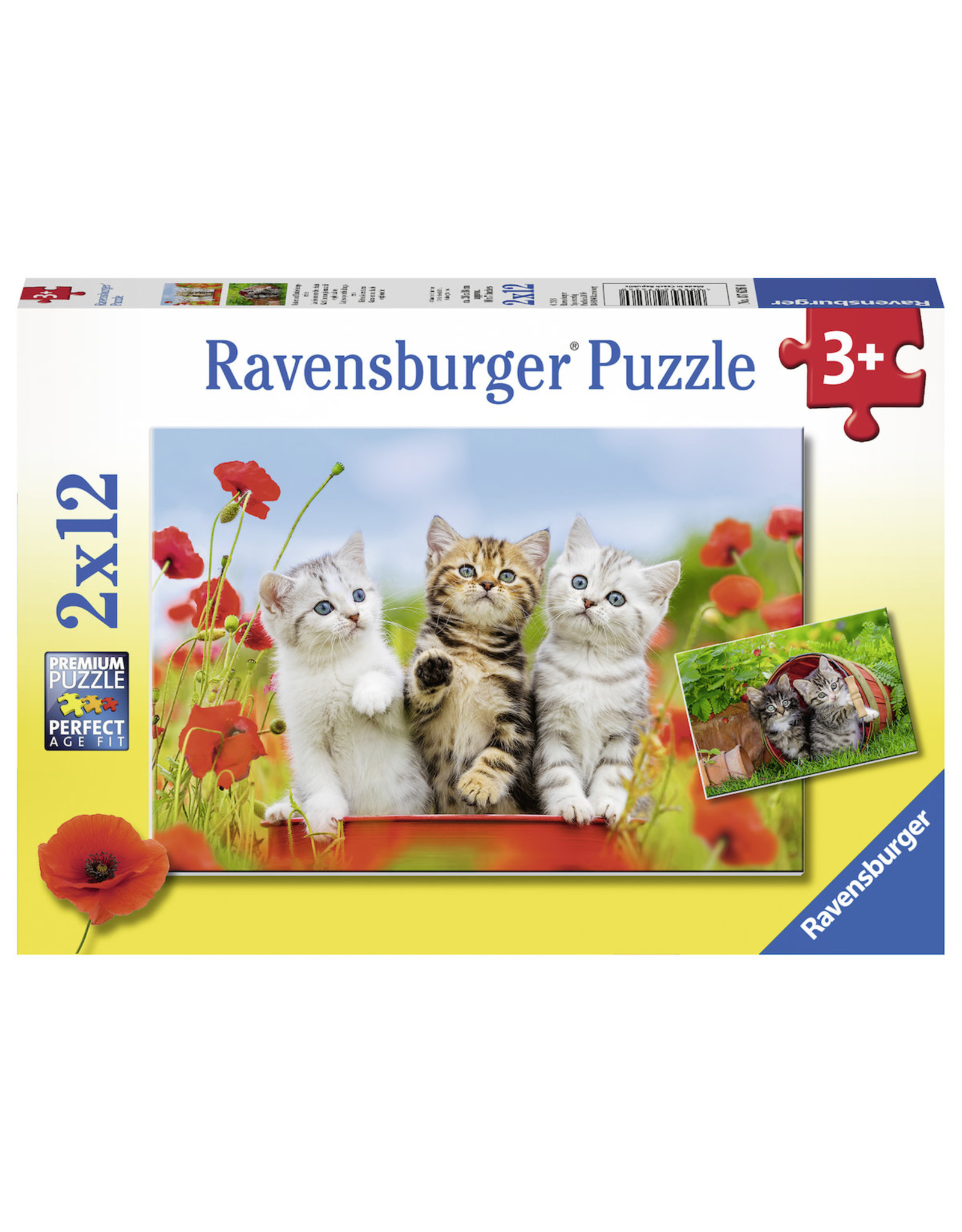 Ravensburger Katjes Op Ontdekkingsreis 2X12