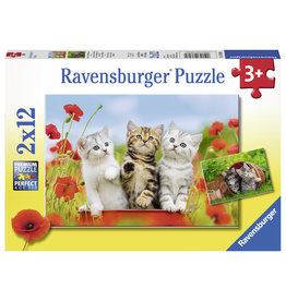 Ravensburger Katjes Op Ontdekkingsreis 2X12