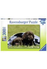 Ravensburger Labrodor Pups 300Xxl