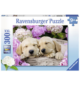 Ravensburger Sweet Dogs In A Basket 300Xxl