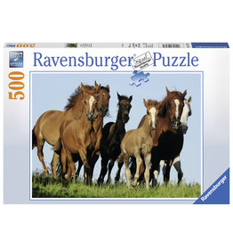 Ravensburger Kudde Paarden 500