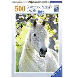 Ravensburger Merrie In De Lente 500