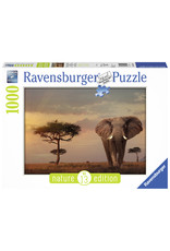 Ravensburger Elephant Of The Masai Mara  - 1000Pc
