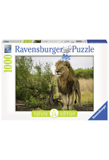 Ravensburger Ravensburger Puzzel King Of The Lions 1000 stukjes