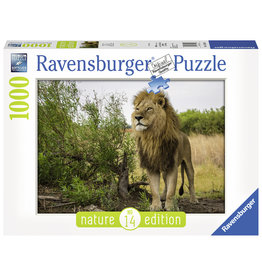 Ravensburger Ravensburger Puzzel King Of The Lions 1000 stukjes