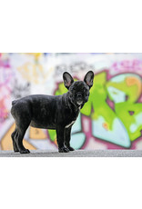 Ravensburger French Bulldog 500