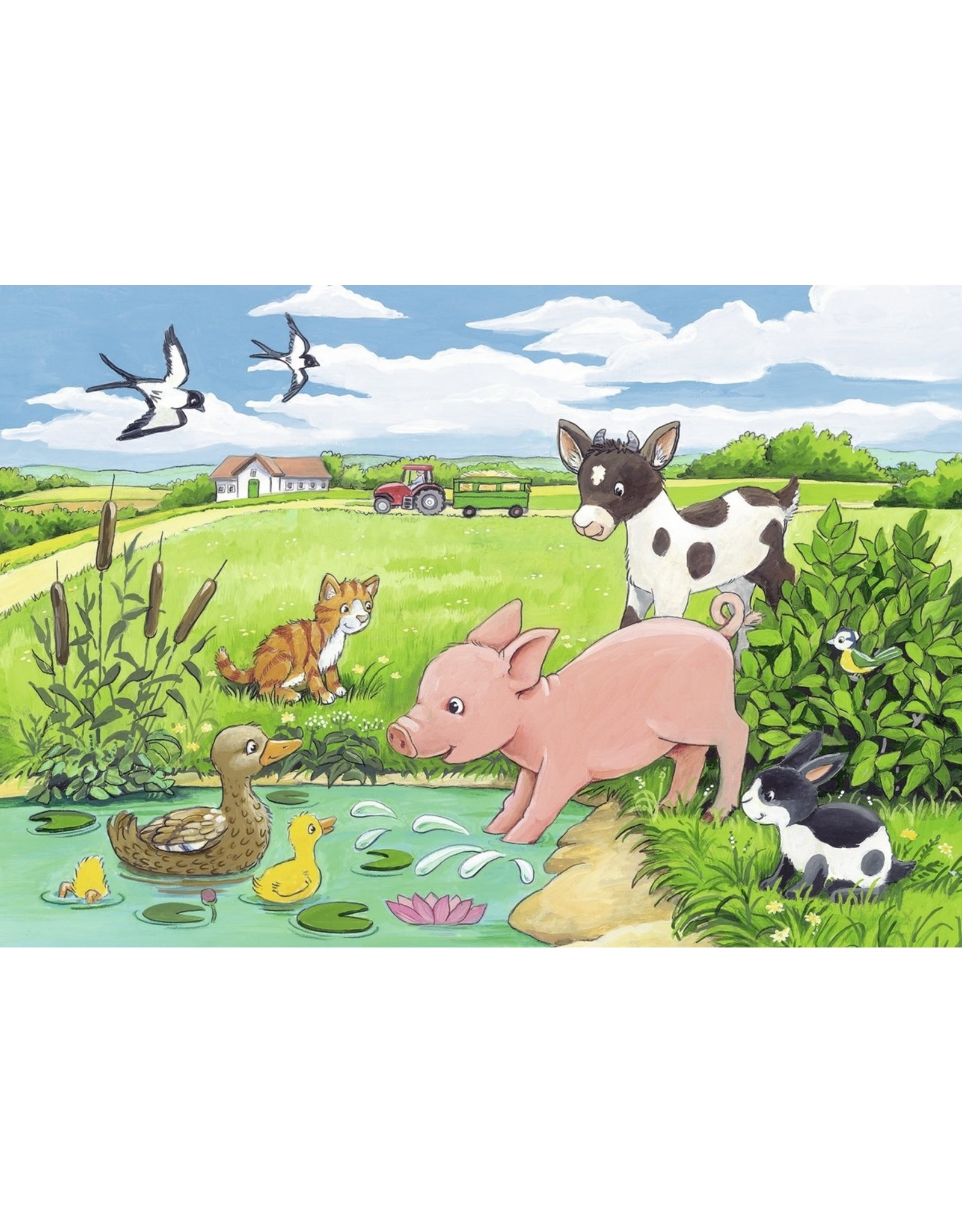 Ravensburger Jonge Dieren Op Het Platteland - 2X12