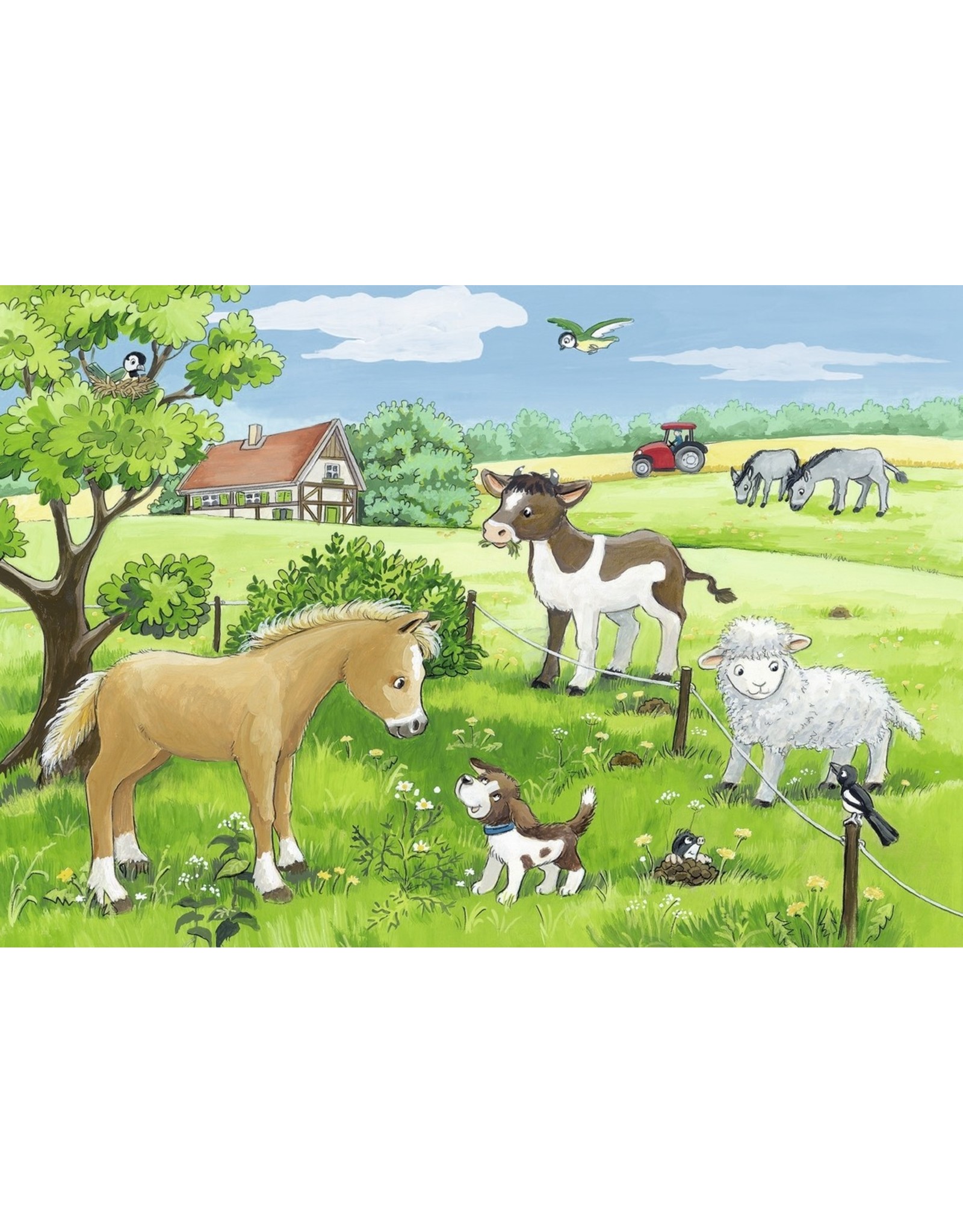 Ravensburger Jonge Dieren Op Het Platteland - 2X12