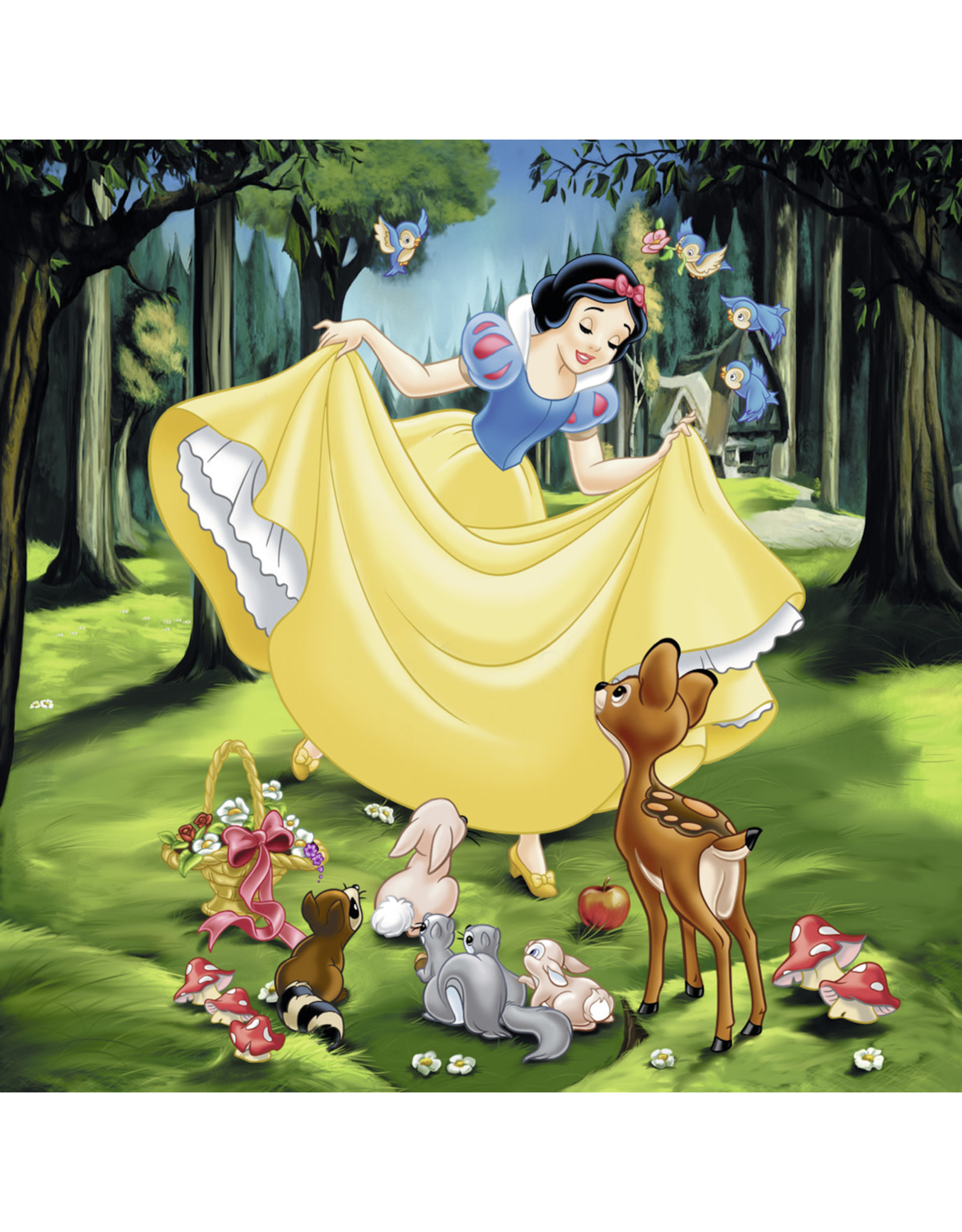 Ravensburger Wd: Princess 3X49