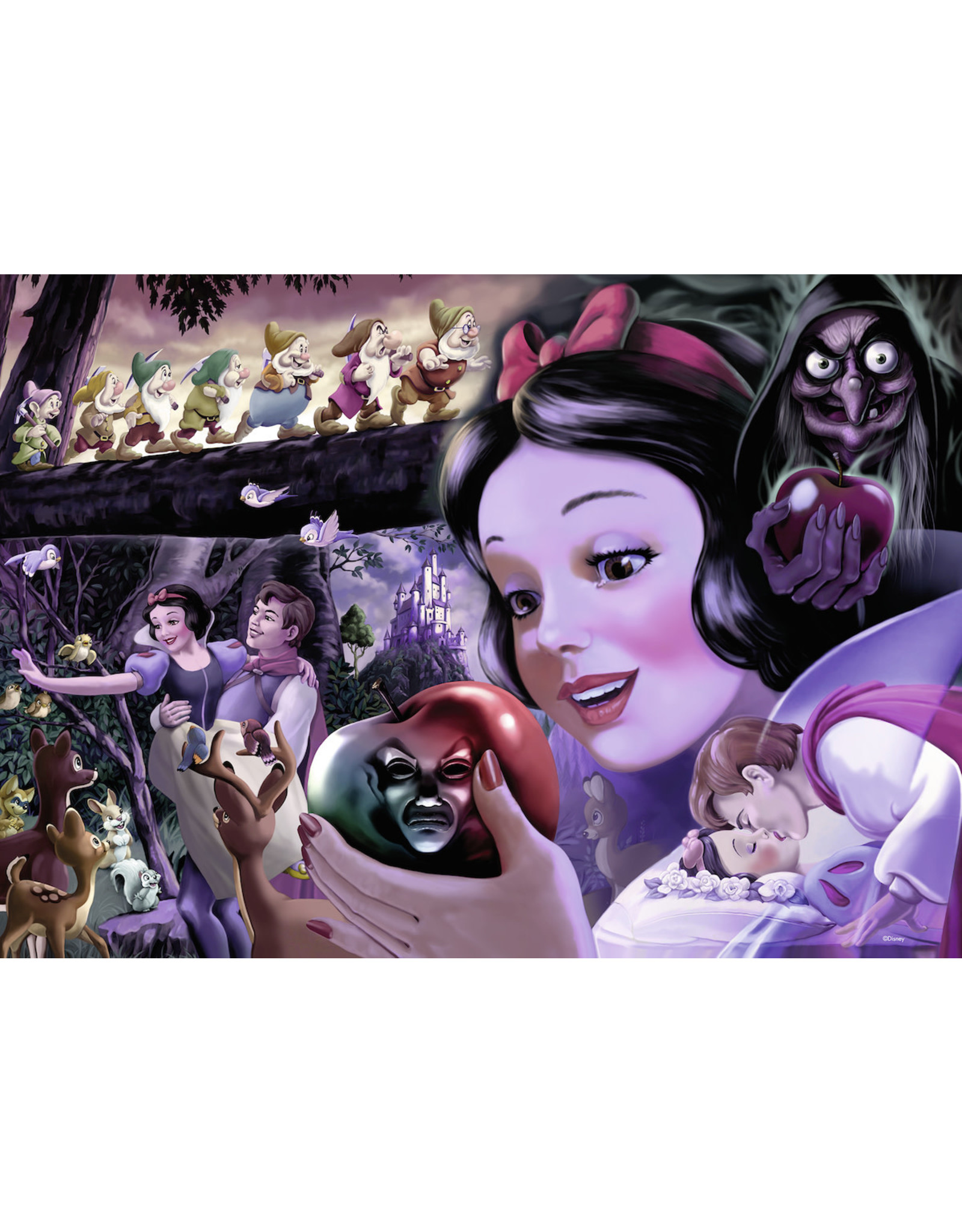 Ravensburger Wd Snow White Heroines Coll 1000
