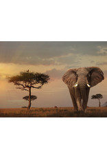 Ravensburger Elephant Of The Masai Mara  - 1000Pc