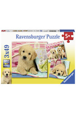 Ravensburger Knuffelhondjes 3X49