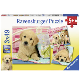 Ravensburger Knuffelhondjes 80656 3X49