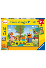 Ravensburger Familieuitje In De Natuur 2X12