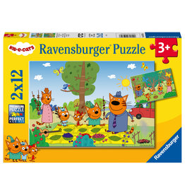 Ravensburger Familieuitje 50796 In De Natuur 2X12