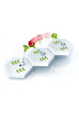 Gravitrax Gravitrax Transfer