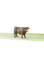 Bruder Bruder 02309 Stier Bruin (1:16) Bruder Bruder 02309 Stier Bruin (1:16)