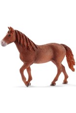 Schleich Schleich Farm World 13870 Morgan Merrie Schleich Schleich Farm World 13870 Morgan Merrie