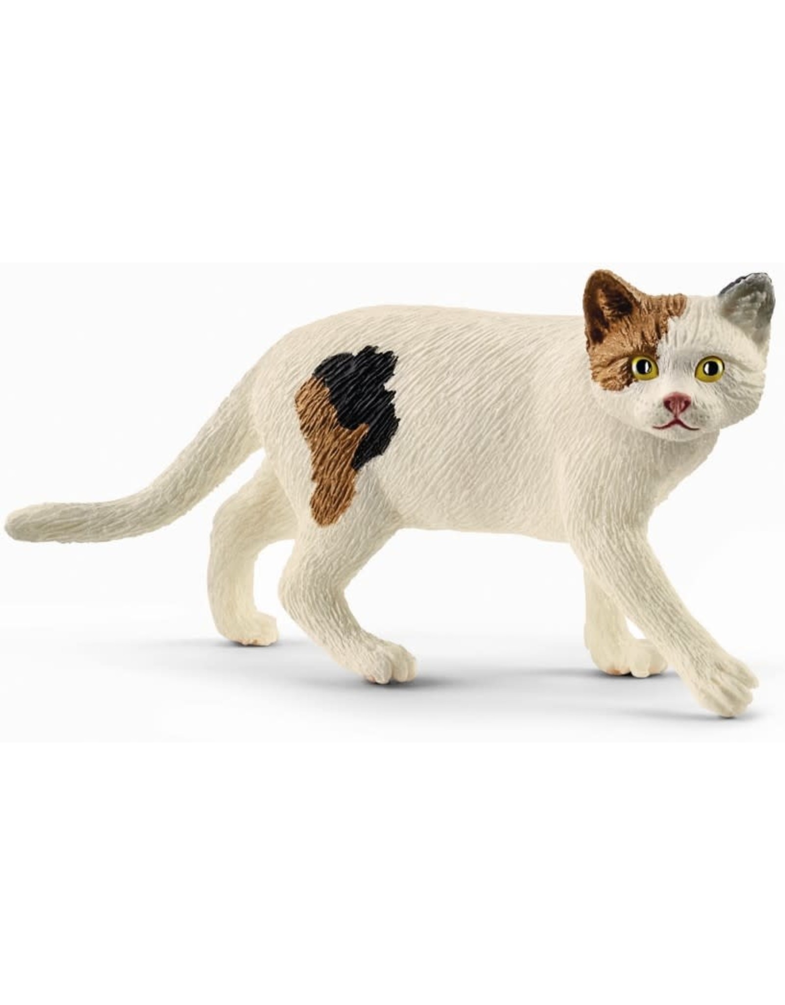 Schleich Schleich Farm World 13894 Amerikaanse Korthaar Kat