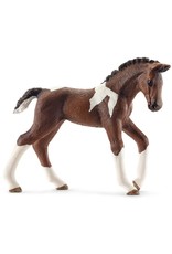 Schleich Schleich Horse Club 13758 Trakhener Veulen Schleich Schleich Horse Club 13758 Trakhener Veulen
