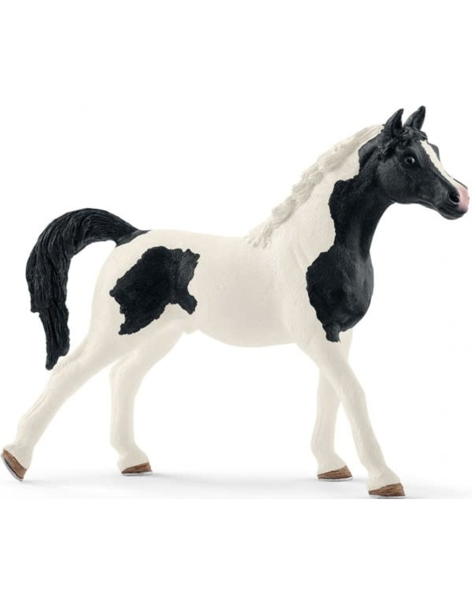 Schleich Schleich Horse Club 13840 Pinto-Arabier Hengst