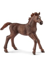 Schleich Schleich Horse Club 13857 Engelse Volbloed Veulen Schleich Schleich Horse Club 13857 Engelse Volbloed Veulen