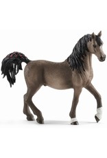 Schleich Schleich Horse Club 13907 Arabische Hengst Schleich Schleich Horse Club 13907 Arabische Hengst