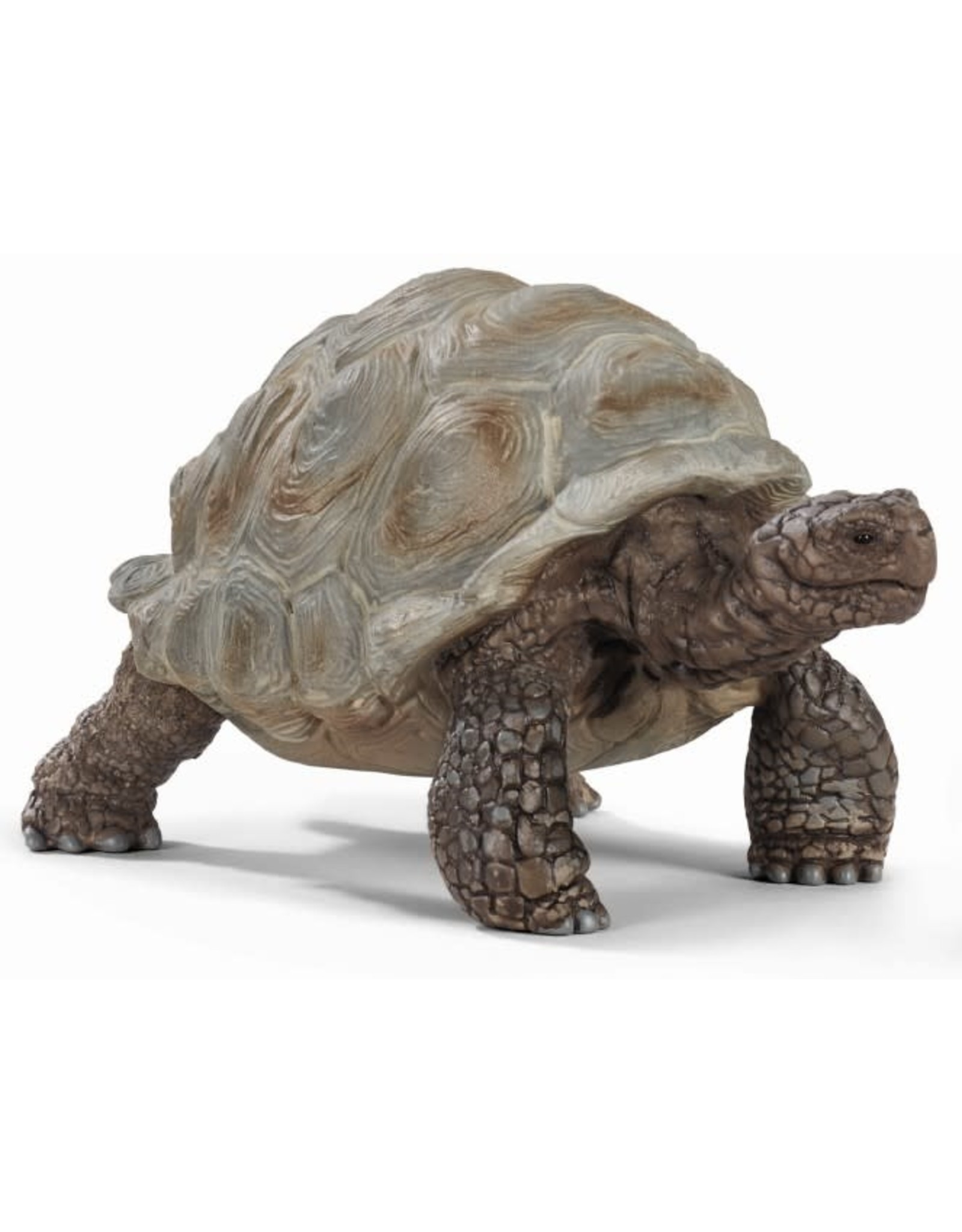 Schleich Schleich Wild Life 14824 Reuzenschildpad