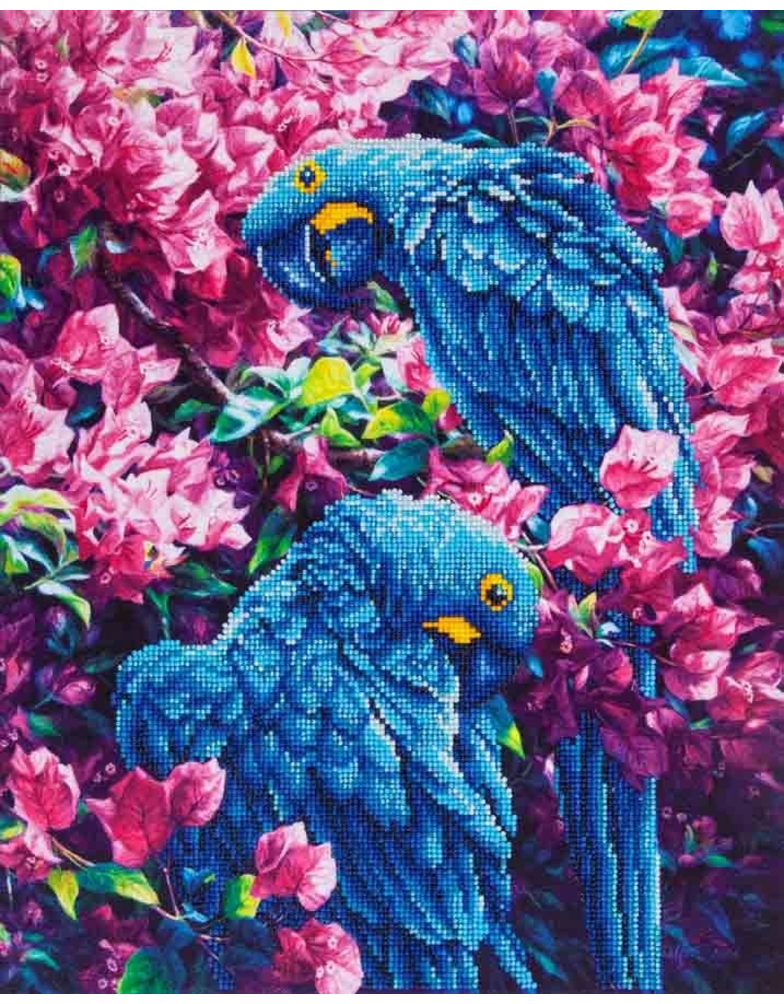 Diamond Dotz Diamond Dotz Blue Parrots  52x42cm