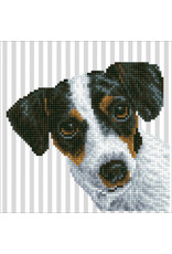 Diamond Dotz Diamond Dotz:  Me : 20x20 cm