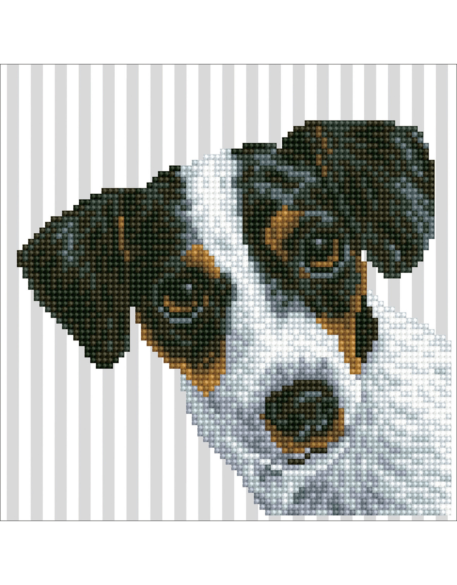 Diamond Dotz Diamond Dotz:  Me : 20x20 cm