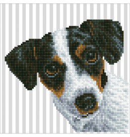 Diamond Dotz Diamond Dotz:  Me : 20x20 cm