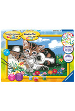 Ravensburger Schilderen op nummer Een Mooie Vriendschap