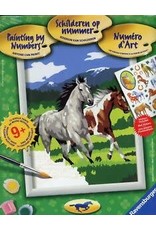 Ravensburger Schilderen op Nummer 293759 Paarden