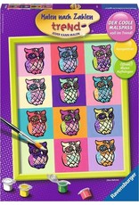 Ravensburger Schilderen op Nummer 284306 Pop Art Uilen Ravensburger Schilderen op Nummer 284306 Pop Art Uilen