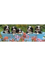 Ravensburger Ravensburger puzzel Panorama 151165  Berner Sennenhond 1000  stukjes